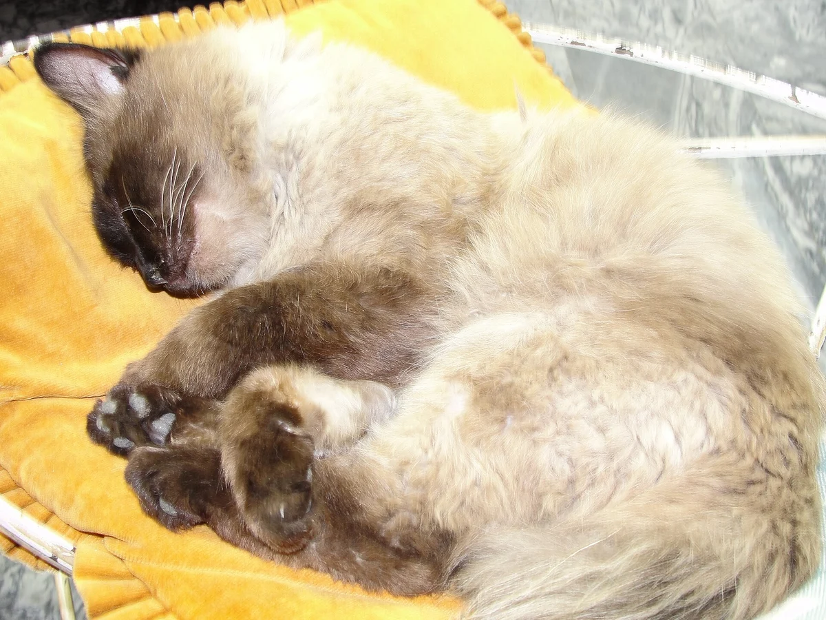 Photo of Cloud