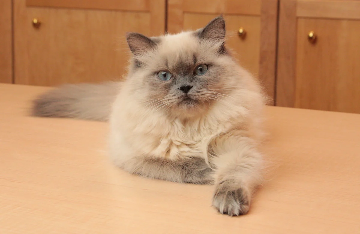 Photo of Cloud