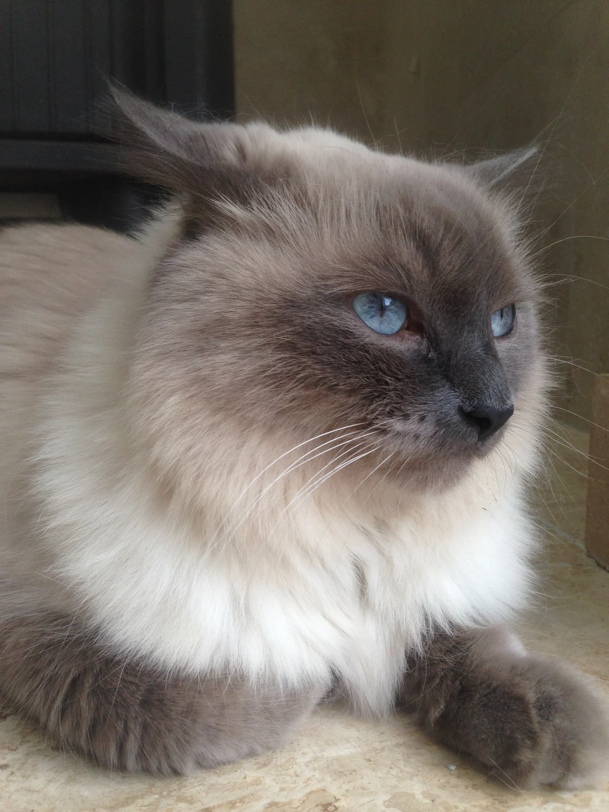 Photo of Cloud