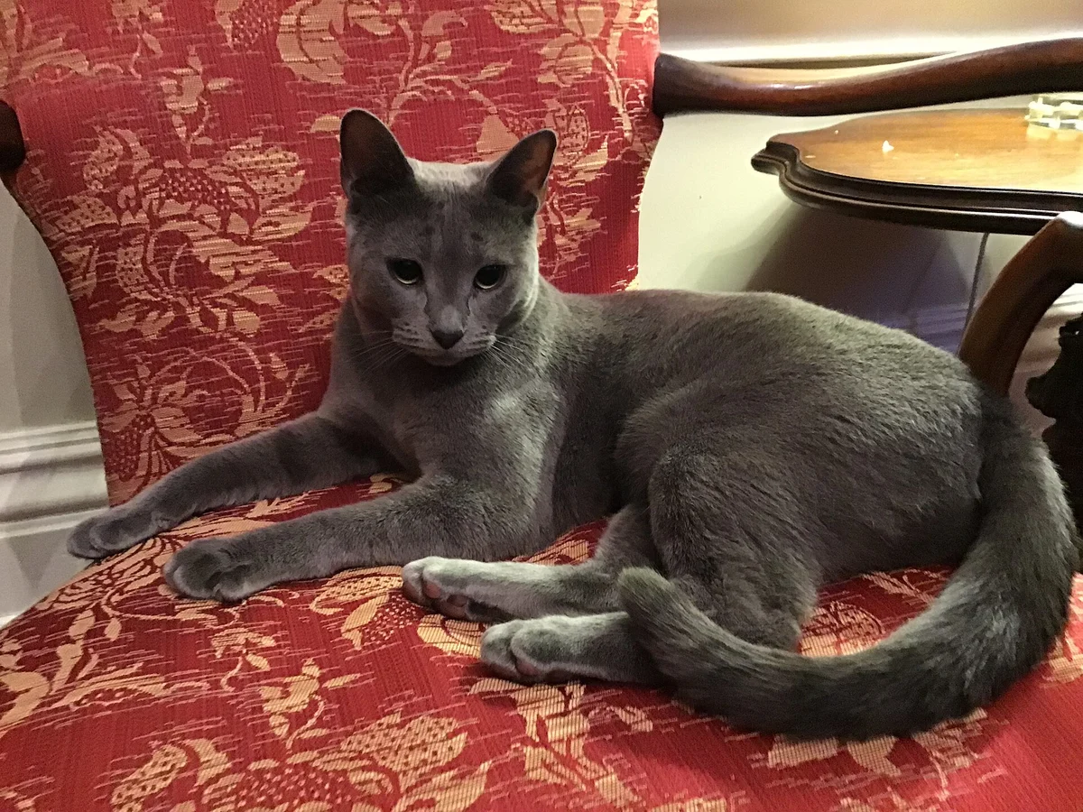Photo of Slate