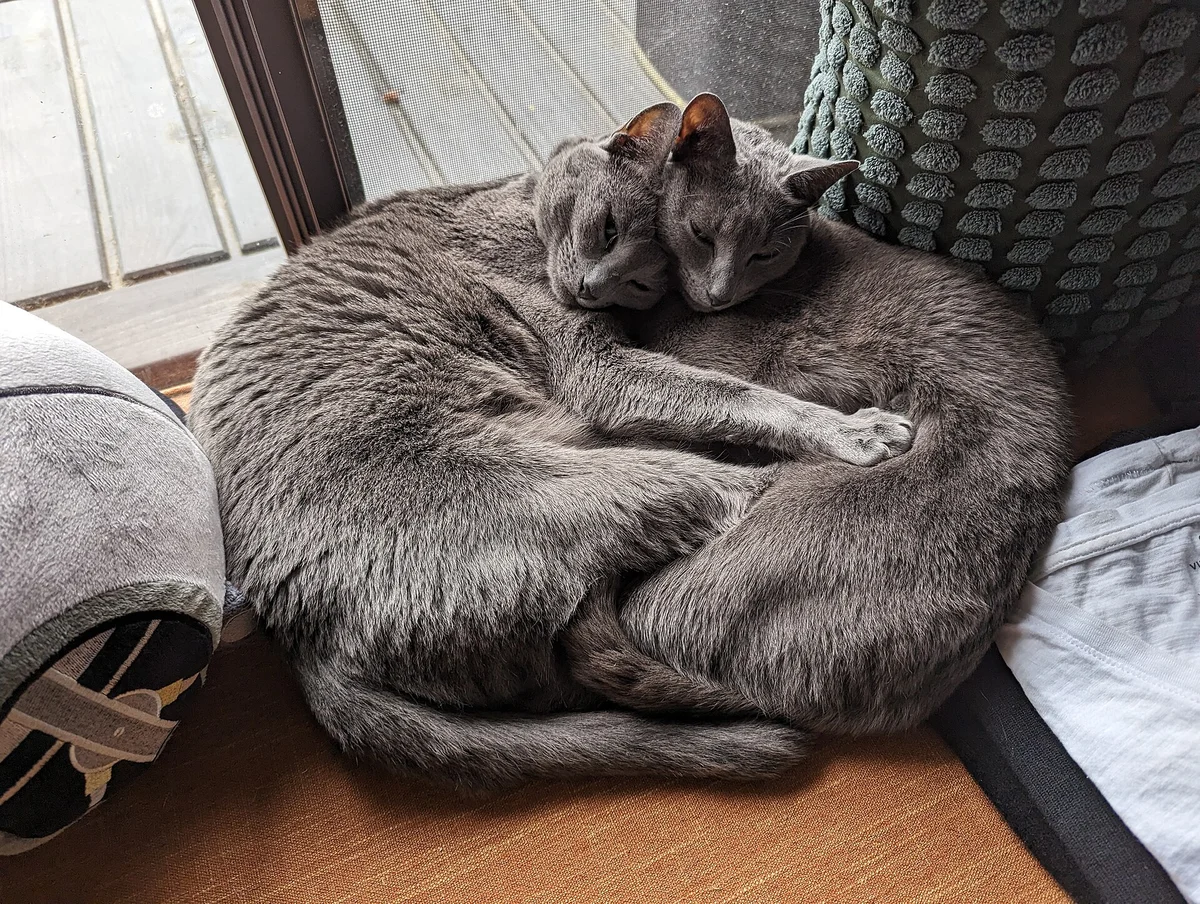 Photo of Slate