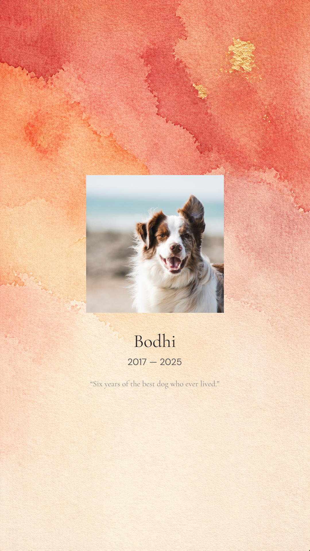 Memorial for Bodhi, 2017 — 2025