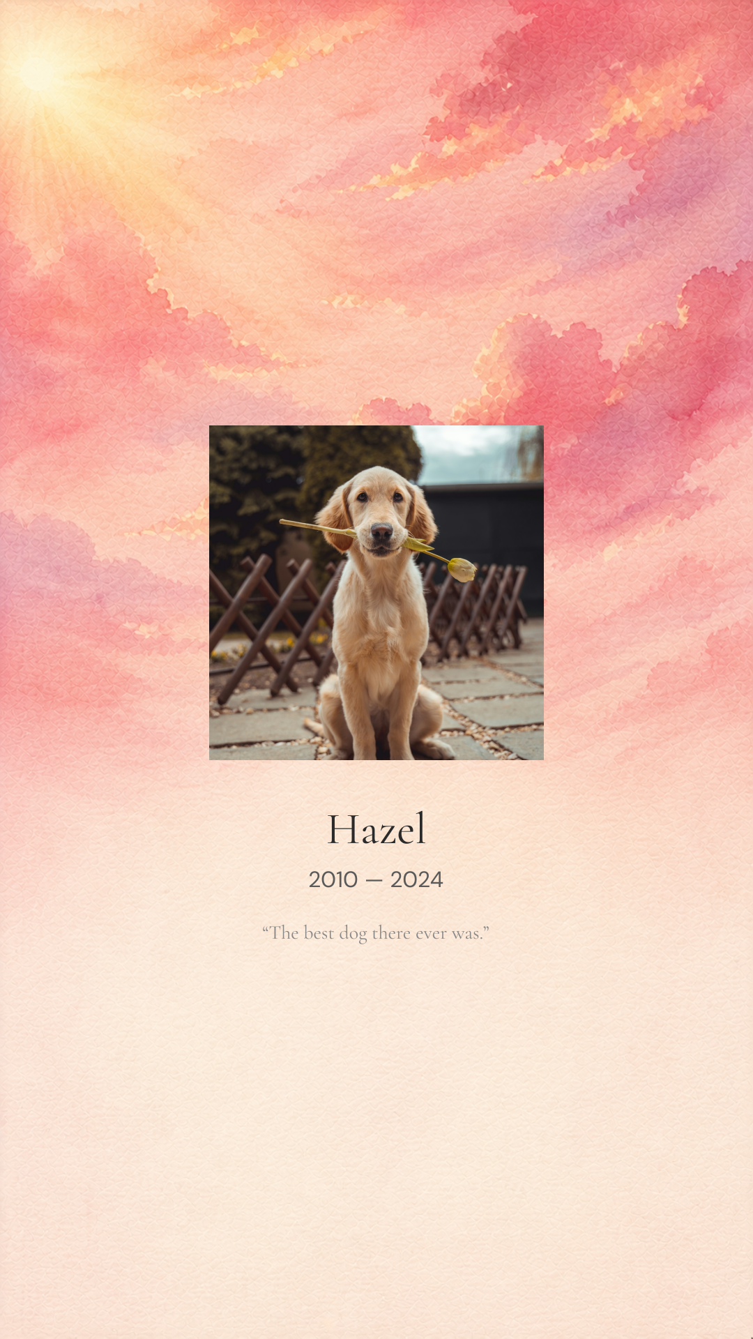 Memorial for Hazel, 2010 — 2024