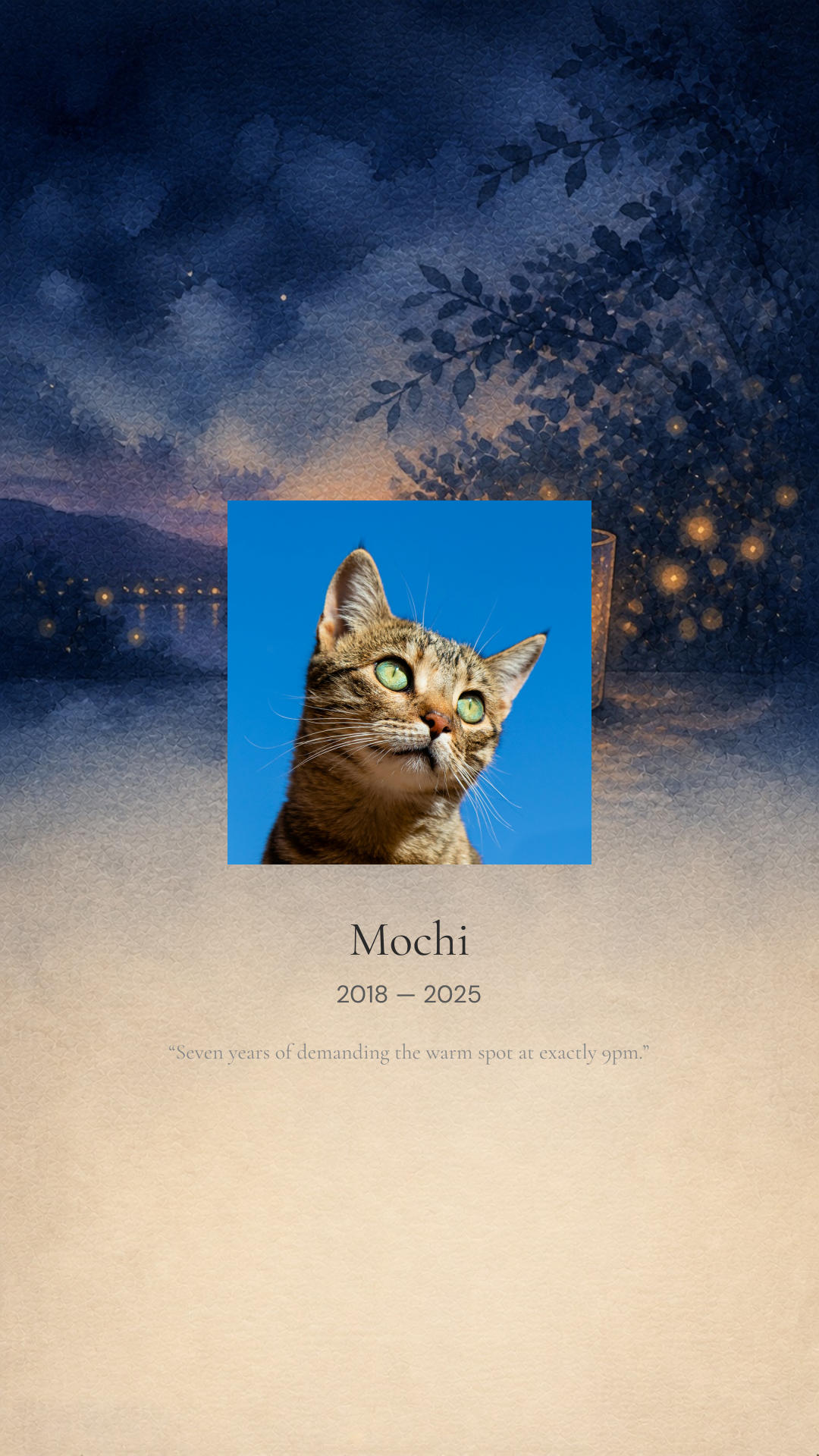 Memorial for Mochi, 2018 — 2025
