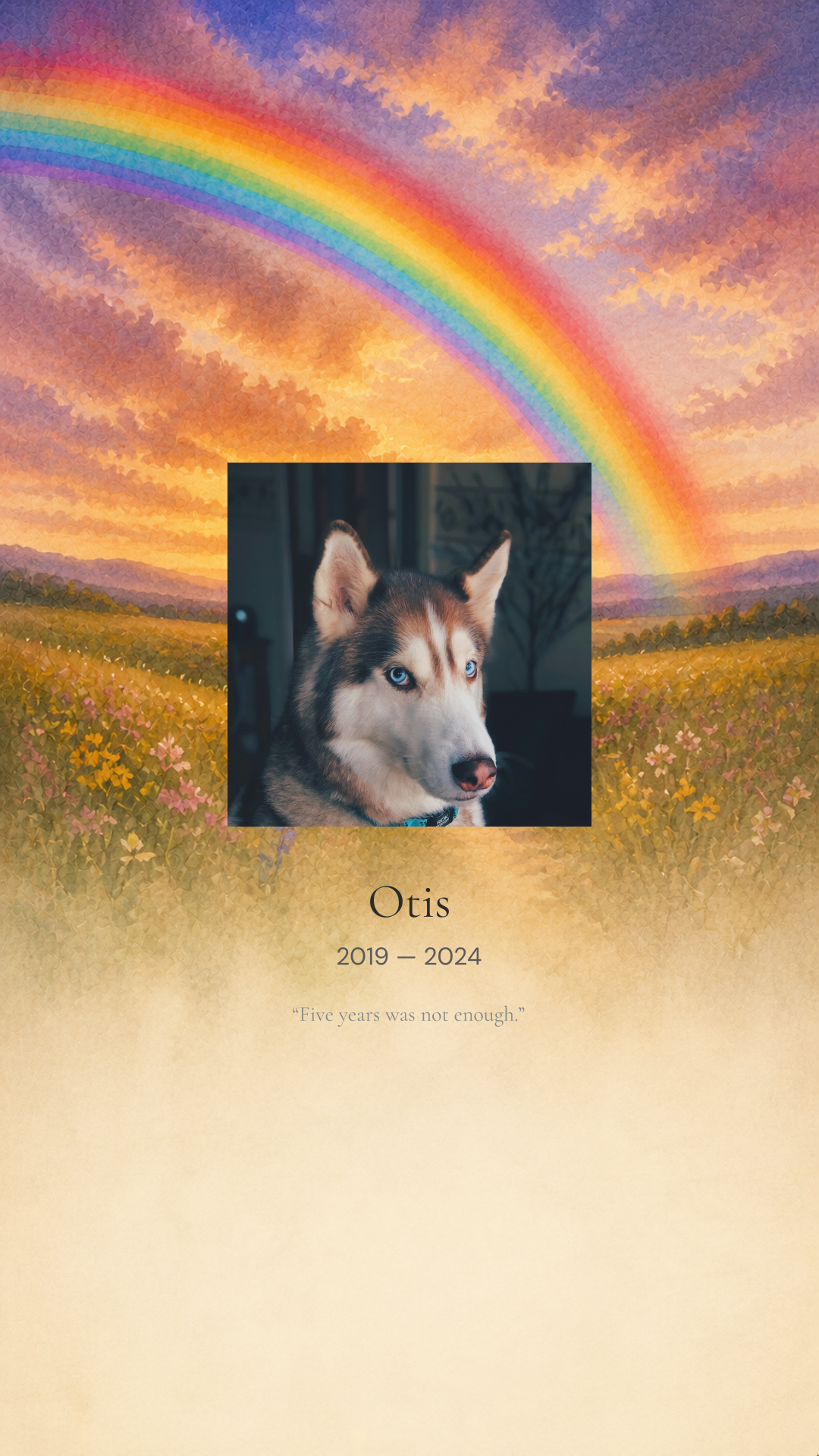 Memorial for Otis, 2019 — 2024