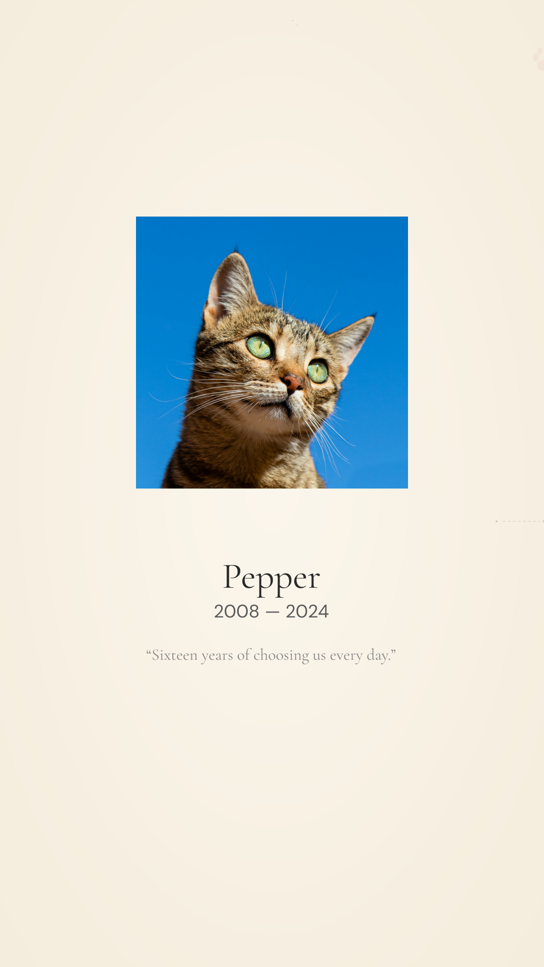Memorial for Pepper, 2008 — 2024